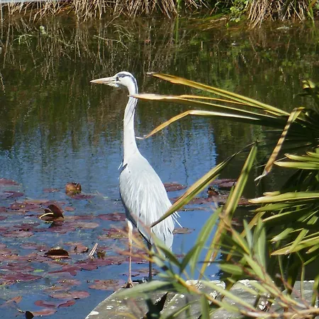 Robinson Aux Nuits Insolides D'agoumbat Lüks kamp alanı *