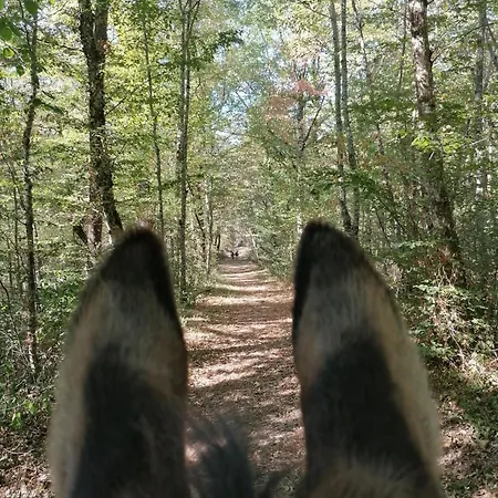 Robinson Aux Nuits Insolides D'agoumbat 럭셔리텐트 *